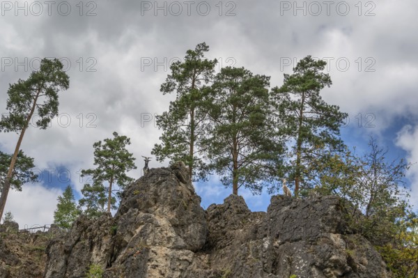 Domestic goats (Capra aegagrus hircus) on a climbing rock, Obertrubach, Upper Franconia, Bavaria,