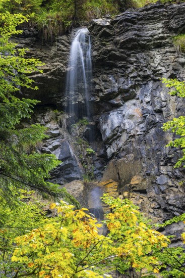 Small waterfall within the Breitachklamm gorge, beech (Fagus), beech family (Fagaceae),