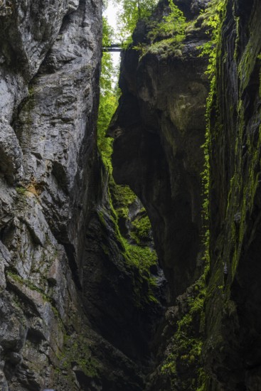 Small bridge leads over the gorge, hiking trail, Breitachklamm, Oberstdorf, Allgäu Alps, Bavaria,