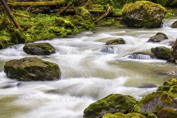 Breitach flows through stream bed with stones, stream, Schrattenkalk, Breitachklamm gorge,