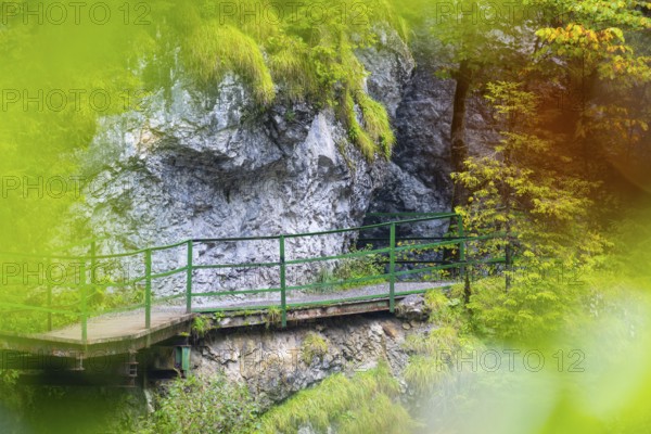 Hiking trail through the gorge, footbridge, coloured foliage, Schrattenkalk, Breitachklamm,