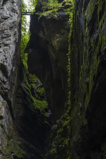 Small bridge leads over the gorge, hiking trail, visitor, Breitachklamm, Oberstdorf, Allgäu Alps,