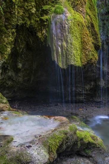Sinterstein with mosses, Hinanger waterfalls, gorge, rock, limestone, Hinang, Fischen, Allgäu Alps,