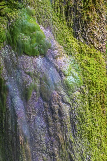 Sinterstein with mosses, Hinanger waterfalls, gorge, rock, limestone, Hinang, Fischen, Allgäu Alps,