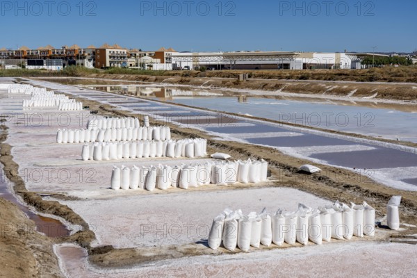 Salt extraction on the Algarve coast in Portugal, 95 per cent of Portuguese sea salt is extracted