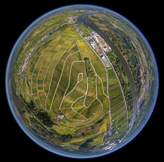 Aerial photo, wine-growing region Moselle Luxembourg, vineyards, Wellenstein, Saarland,