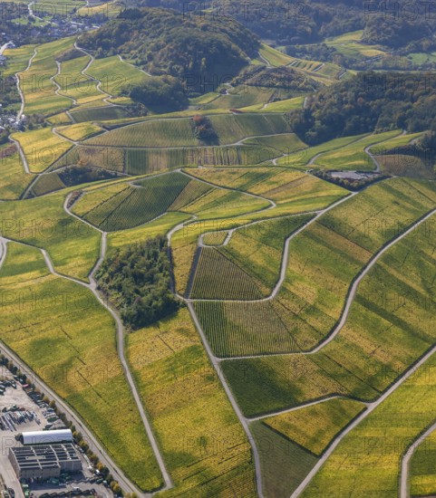 Aerial photo, wine-growing region Moselle Luxembourg, vineyards, Wellenstein, Saarland,