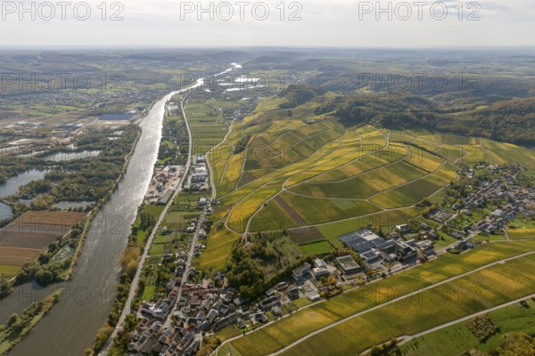 Aerial photo, wine-growing region Moselle Luxembourg, vineyards, Wellenstein, Saarland,