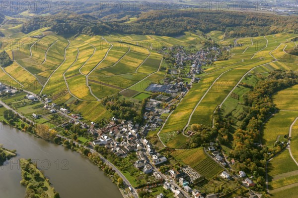 Aerial photo, wine-growing region Moselle Luxembourg, vineyards, Remich, Saarland, Grevenmacher,