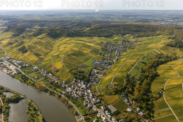 Aerial photo, wine-growing region Moselle Luxembourg, vineyards, Remich, Saarland, Grevenmacher,