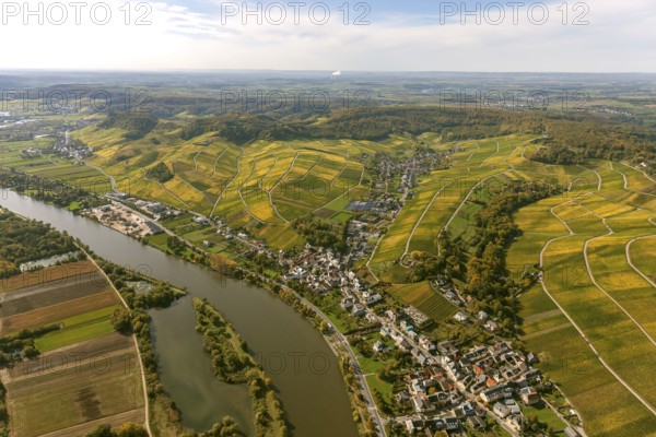 Aerial photo, wine-growing region Moselle Luxembourg, vineyards, Remich, Saarland, Grevenmacher,