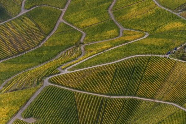 Aerial photo, wine-growing region Moselle Luxembourg, vineyards, Wellenstein, Saarland,