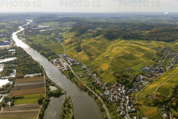 Aerial photo, wine-growing region Moselle Luxembourg, vineyards, Remich, Saarland, Grevenmacher,