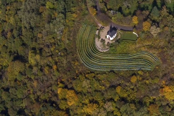 Chapel at Ellerweg, vineyard, Merzig, Saarland, Germany, Europe, aerial view, birds-eyes view,