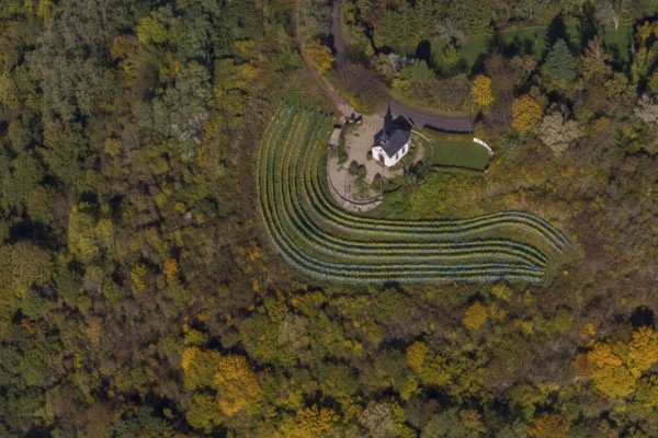Aerial view, chapel at Ellerweg, vineyard, Merzig, Saarland, Germany, Europe, birds-eyes view,