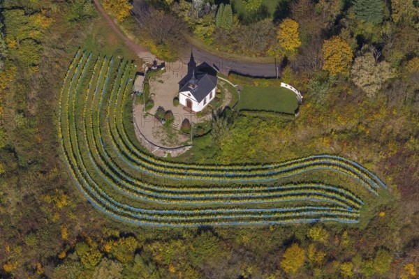 Aerial view, chapel at Ellerweg, vineyard, Merzig, Saarland, Germany, Europe, birds-eyes view,