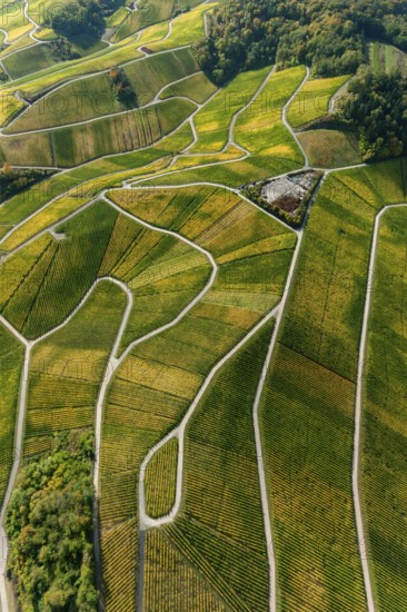 Aerial photo, wine-growing region Moselle Luxembourg, vineyards, Wellenstein, Saarland,