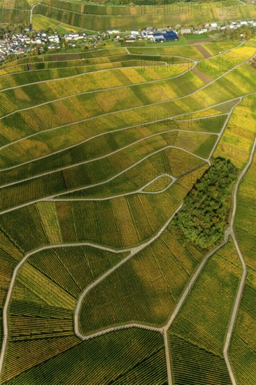 Aerial photo, wine-growing region Moselle Luxembourg, vineyards, Wellenstein, Saarland,