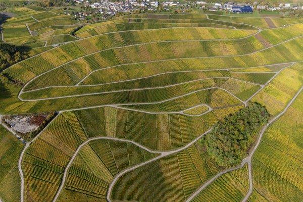 Aerial photo, wine-growing region Moselle Luxembourg, vineyards, Schwebsingen, Saarland,