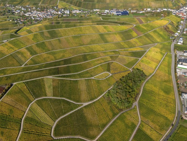 Aerial photo, wine-growing region Moselle Luxembourg, vineyards, Schwebsingen, Saarland,