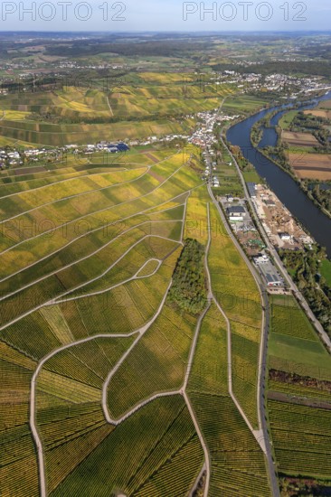 Aerial photo, wine-growing region Moselle Luxembourg, vineyards, Wellenstein, Saarland,