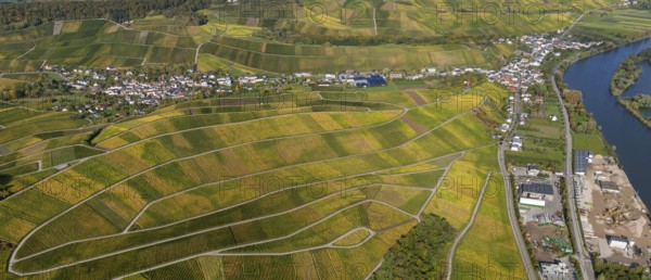 Aerial photo, wine-growing region Moselle Luxembourg, vineyards, Schwebsingen, Saarland,