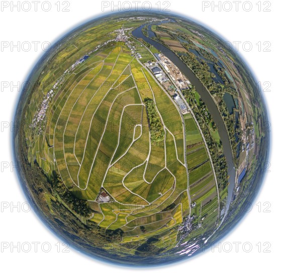 Aerial photo, wine-growing region Moselle Luxembourg, vineyards, Wellenstein, Saarland,