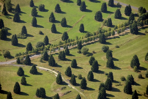 Aerial photograph, Schwarzenborn camp, tree meadow, Schwarzenborn, Hesse, Germany, Europe Aerial