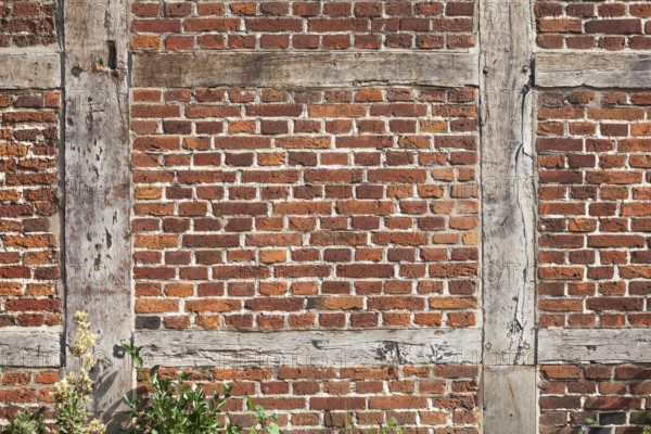 Brick wall and wooden beams on a half-timbered house in the historic centre of Harburg, Harburg,