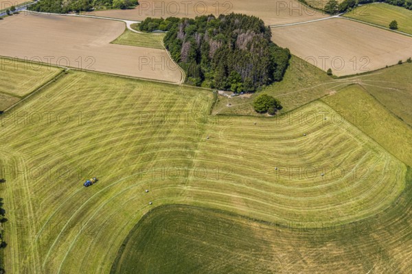 Aerial view, agricultural fields, tractor mowing meadow, Langenholthausen, Balve, Sauerland, North
