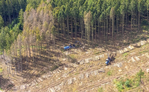 Aerial photo, deforestation, harvester, nature reserve Eidmecketalsystem, Bestwig, Sauerland, North
