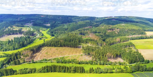 Aerial photo, deforestation, harvester, nature reserve Eidmecketalsystem, Bestwig, Sauerland, North