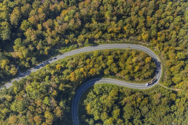 Aerial view, serpentine road in forest area, north of Jakobsberg, Beverungen, East
