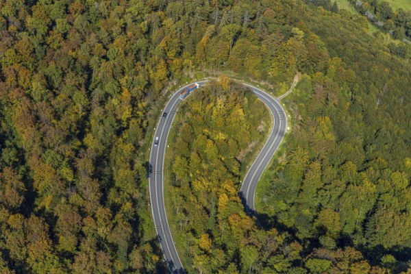 Aerial view, serpentine road in forest area, north of Jakobsberg, Beverungen, East