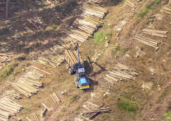 Aerial photo, deforestation, harvester, nature reserve Eidmecketalsystem, Bestwig, Sauerland, North