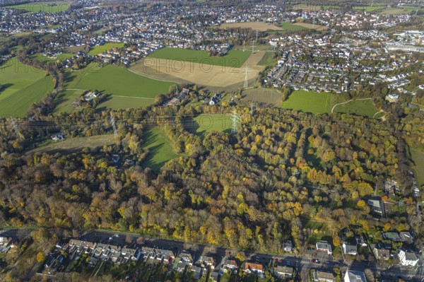 Weitmarer Holz, Weitmar-Mark, Bochum, Ruhr area, North Rhine-Westphalia, Germany, DE, Europe,