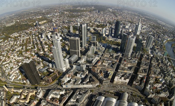 Frankfurt, skyline, skyscrapers, Deutsche Bank, DEU Germany Germany, Europe, aerial view,