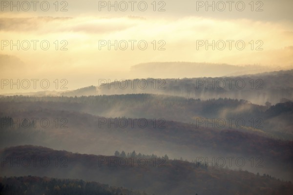 Forests of the Middle Rhine Taunus in the fog, Taunus, forest, Dachsenhausen, Rhine Valley,