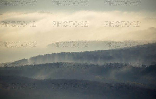 Forests of the Middle Rhine Taunus in the fog, Taunus, forest, Dachsenhausen, Rhine Valley,