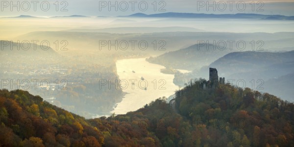 Drachenfels castle ruins against the backdrop of the Rhine, Rhine valley, Rhine, colourful autumn