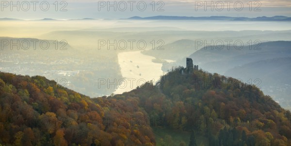 Drachenfels castle ruins against the backdrop of the Rhine, Rhine valley, Rhine, colourful autumn