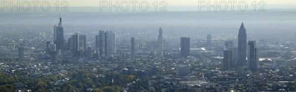 Frankfurt, skyline, skyscrapers, Deutsche Bank, DEU Germany Germany, Europe, aerial view,