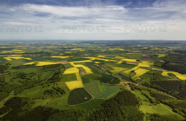 Agricultural fields and rape fields near Heimbach, Heimbach, Eifel, North Rhine-Westphalia,