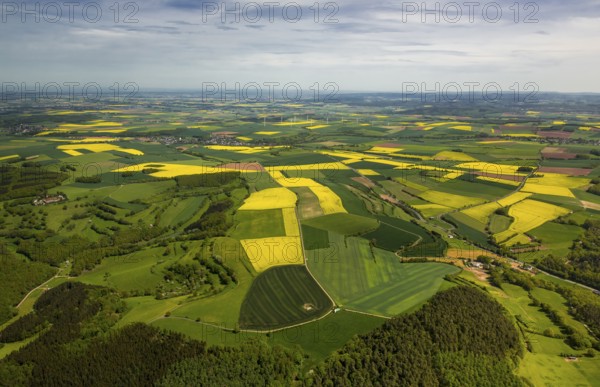 Agricultural fields and rape fields near Heimbach, Heimbach, Eifel, North Rhine-Westphalia,