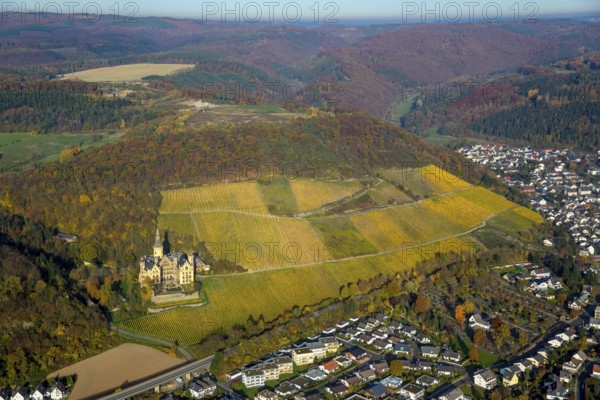 Vineyards in autumn, vine leaves, late harvest, Arensfels Castle, owned by Baron Antonius Geyr von