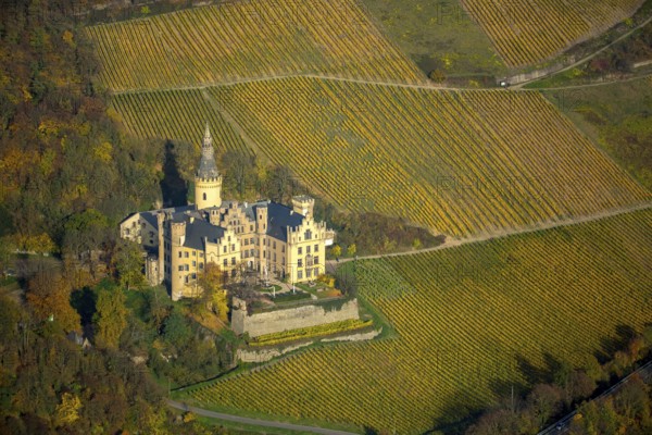 Vineyards in autumn, vine leaves, late harvest, Arensfels Castle, owned by Baron Antonius Geyr von