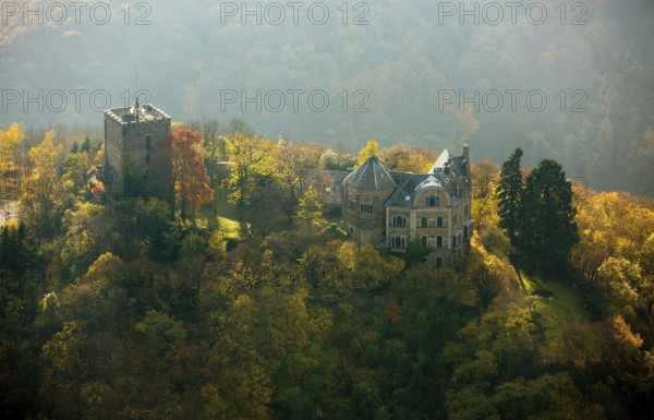Rheineck Castle in the Rhine Valley, Rhine, autumn foliage, Bad Breisig, Ahrweiler district,