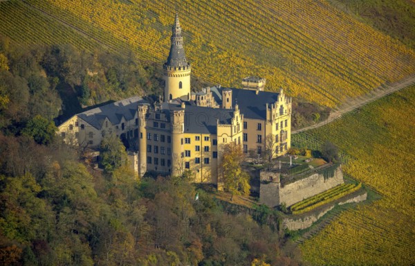 Vineyards in autumn, vine leaves, late harvest, Arensfels Castle, owned by Baron Antonius Geyr von
