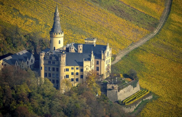Vineyards in autumn, vine leaves, late harvest, Arensfels Castle, owned by Baron Antonius Geyr von