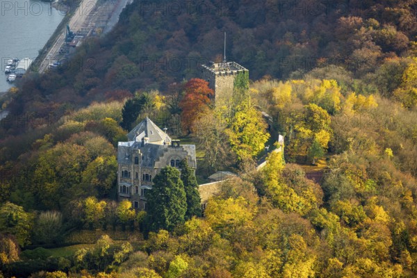 Rheineck Castle in the Rhine Valley, Rhine, autumn foliage, Bad Breisig, Ahrweiler district,